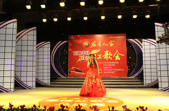 豐縣電視臺(tái)演播廳